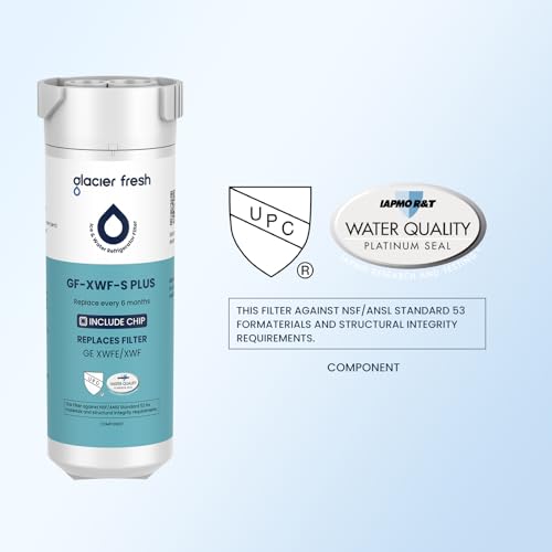XWFE (Built-in CHIP) Refrigerator Water Filter Pack of 2 (2 Count)