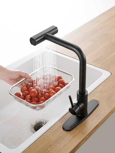 Kitchen Faucets with Pull Down Sprayer
