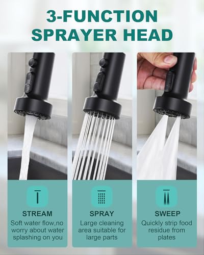 Black Kitchen Faucet with Soap Dispenser