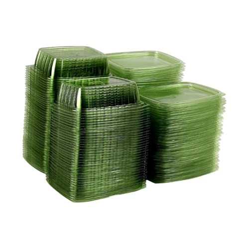 Compostable 24oz Rectangular Deli Containers With Lids (50 Count)
