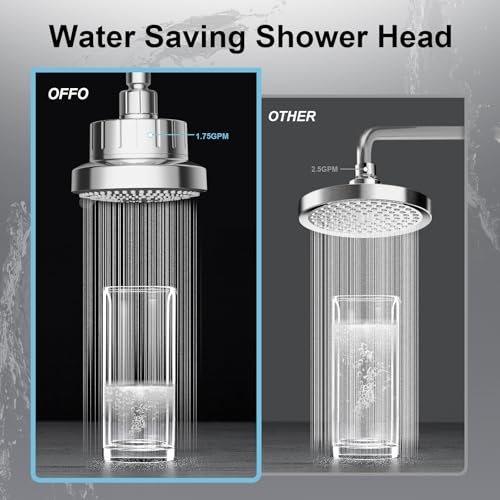 Filtered Shower Head