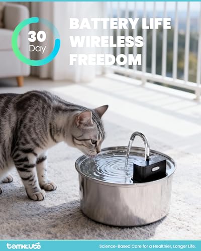 Cat Water Fountain Stainless Steel