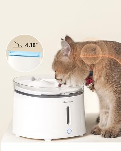 Silent Cat Water Fountain