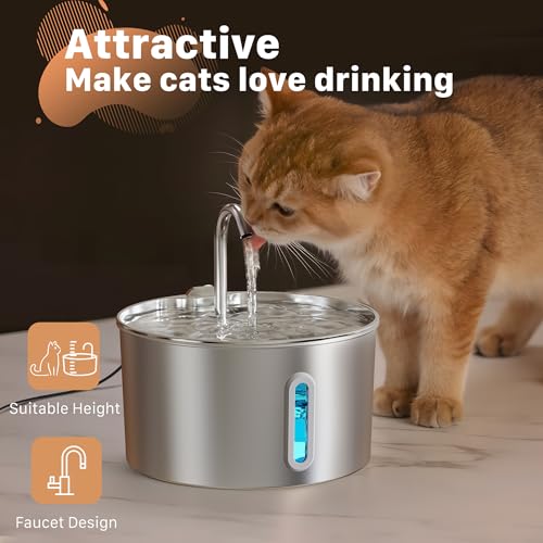 Cat Water Fountain Stainless Steel