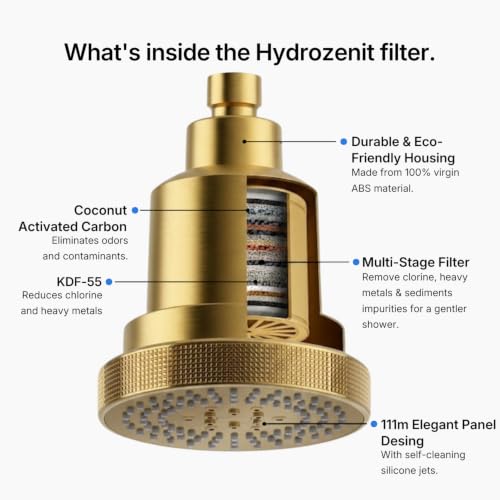 Filtered Shower Head Gold