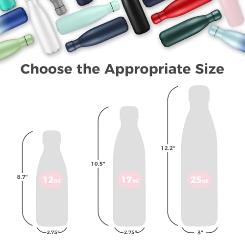 17oz Insulated Stainless Steel Water Bottle