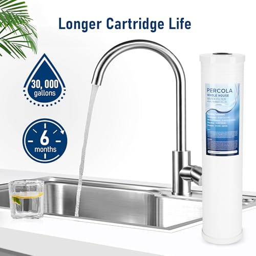 AP810-2 High-Capacity Whole-House Replacement Water Filter