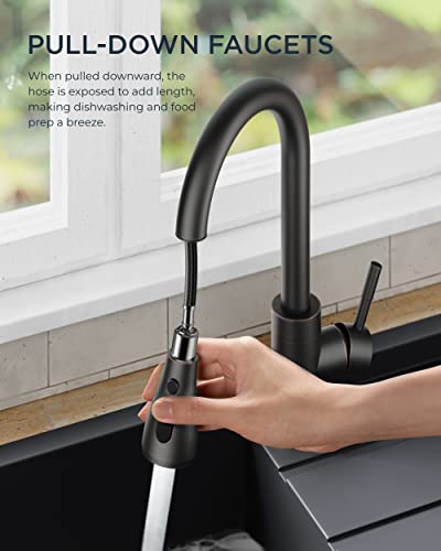Kitchen Faucet Pull Down Sprayer