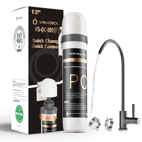 Under Sink Water Filter System with Black Faucet