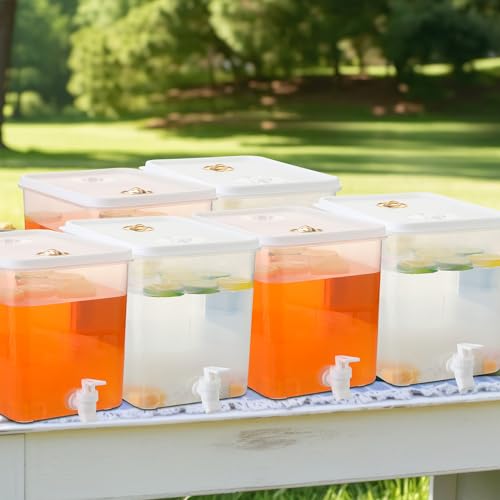 6 Pack Drink Dispenser for Fridge with Spigot (12 Gallon Count)
