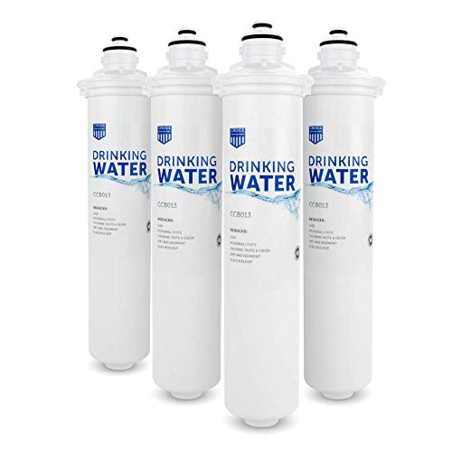 Drinking Water Filter for Everpure EV9270 (4 Count)