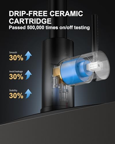 Kitchen Faucet and Water Filter Faucet