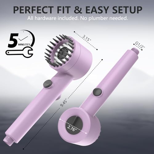Filtered Shower Head with Handheld
