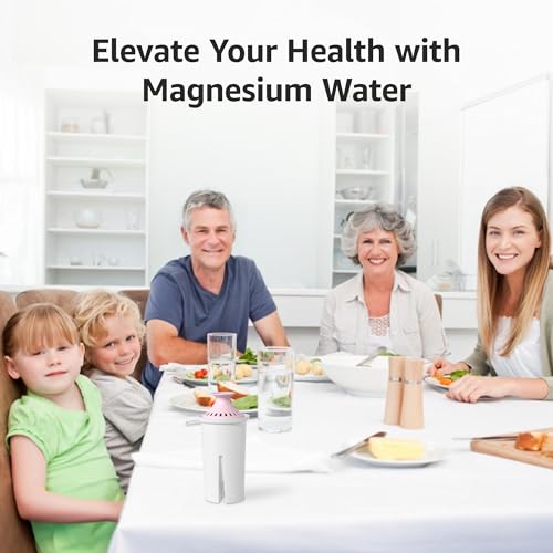 Magnesium Water Filter Replacement for Brita® Filter (3 Count)