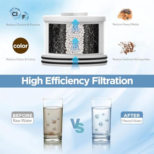 Filtered Shower Head with Upgraded Activated Carbon Filter