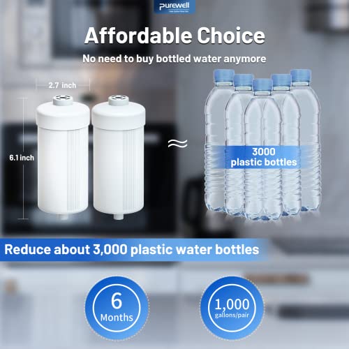 PF 2 Fluoride Purification Elements (2 Count)