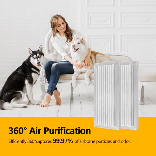 990051000 True HEPA Air Purifier Replacement Filter Compatible with Hamilton Beach TrueAir 04383 04384 04385 04386 Compact Pet Air Purifiers (6 Count)