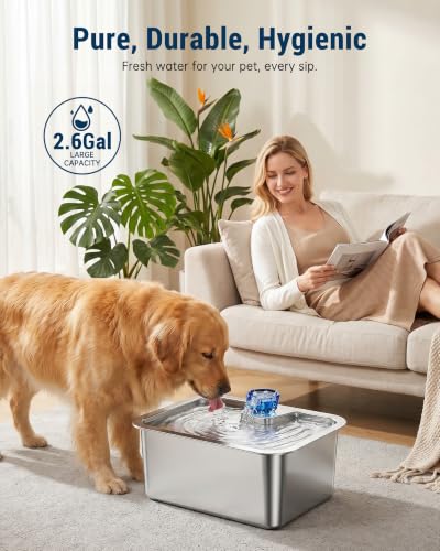 10 L Stainless Steel Dog Water Fountain for Large Dogs (328 Ounce)