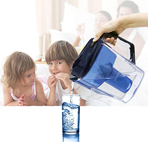 Water Pitcher