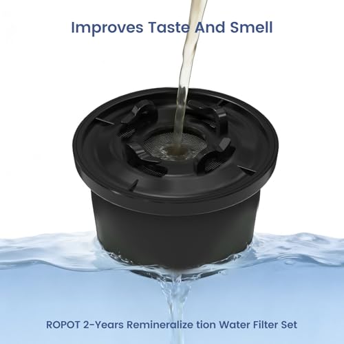 RO100ROPOT Remineralization Water Filters Replacement (4 Count)