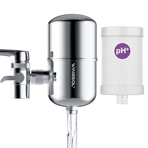 Stainless Steel Mineral Alkaline Water Filter for Sink Faucet