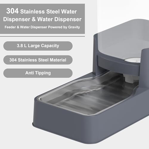 Stainless Steel Cat Feeder and Water Dispenser