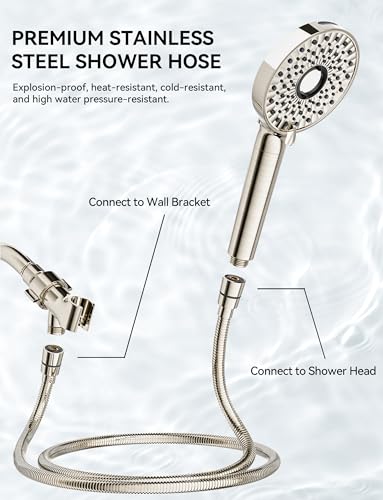 Shower Head with Handheld
