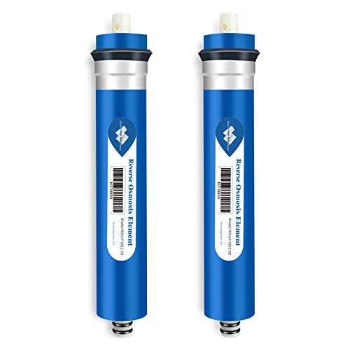 50 GPD Reverse Osmosis Membrane (2 Count)