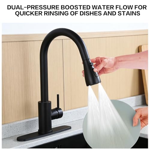 Kitchen Faucet with Pull Down Sprayer