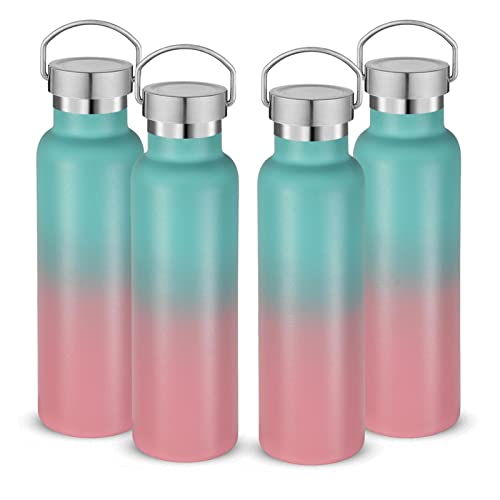 20 oz Insulated Water Bottles Bulk 4 Pack (4 Count)