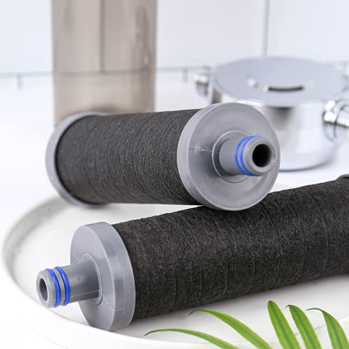 2.0 Carbon Shower Head Filter