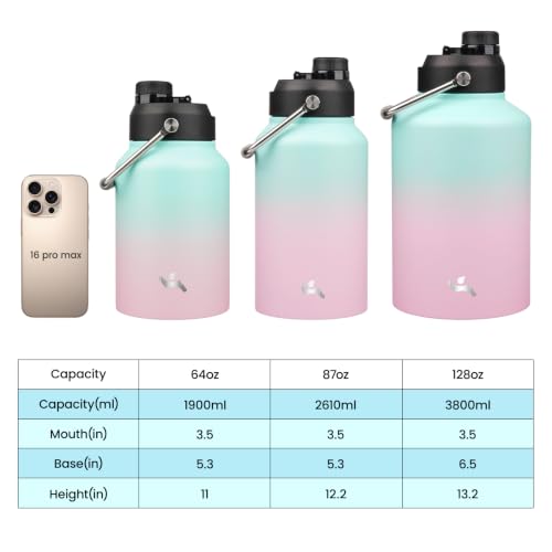 87 oz Insulated Stainless Steel Water Bottle Jug with Handle