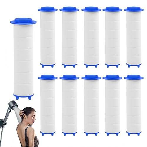 10Pcs Shower Head Filter Drivese (10 Count)
