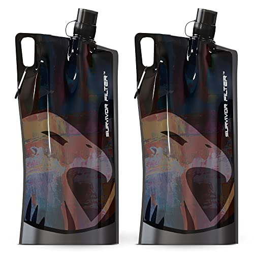 1L Black Collapsible Water Bottles (2 Count)