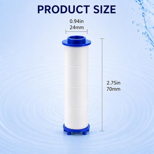 10Pcs Ion Shower Dropse Head Filters 2.75 Inch (10 Count)