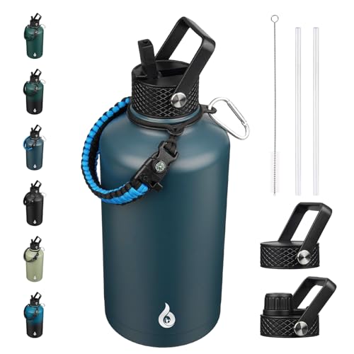 87oz Insulated Water Bottle with Straw Lid Stainless Steel Water Jug