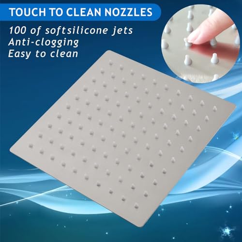Rain Shower Head with Filtered