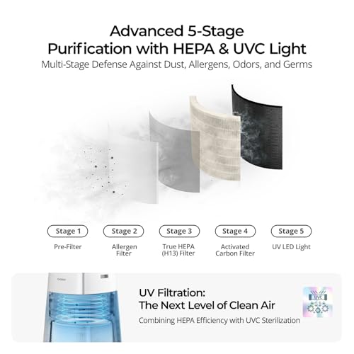 HEPA Air Purifier for Home