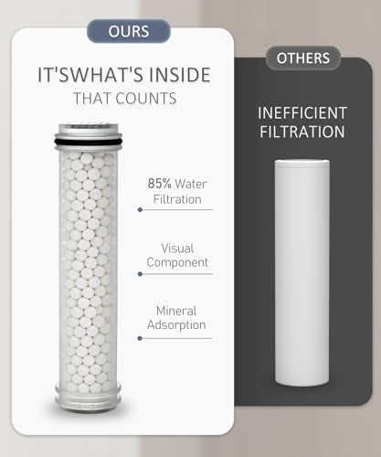 Filtered Shower Head with Handheld High Pressure Shower Head with Filters