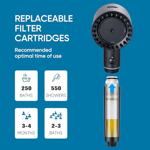 Filtered Shower Head with Handheld