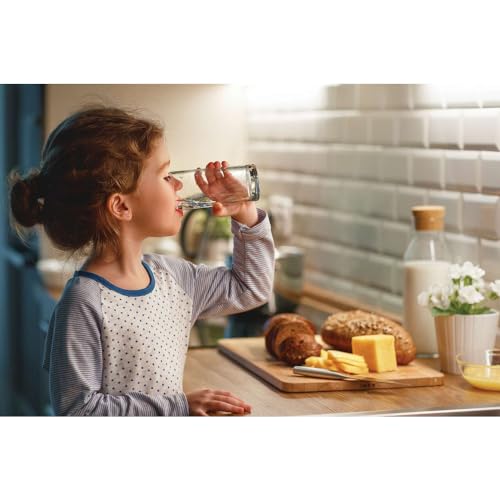 WFCB PureSource® Plus Refrigerator Water Filter Replacement