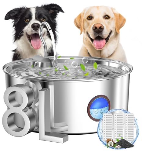 Dog Water Fountain for Large Dogs