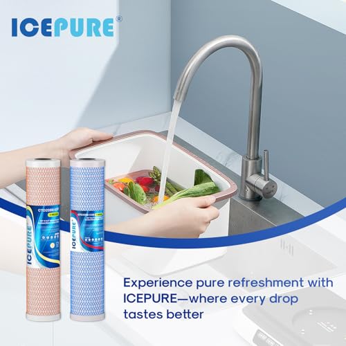 4.5"x 20" Whole House CTO Carbon Water Filter (2 Count)