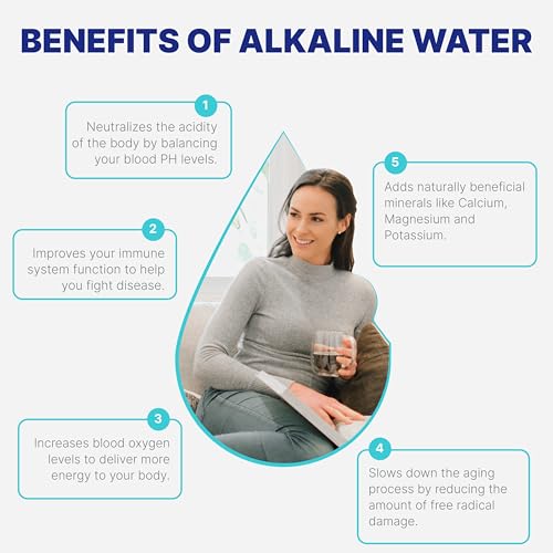 Countertop Water Filter System