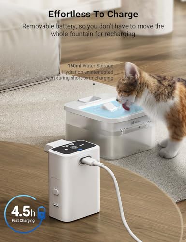 Cat Water Fountain Cordless