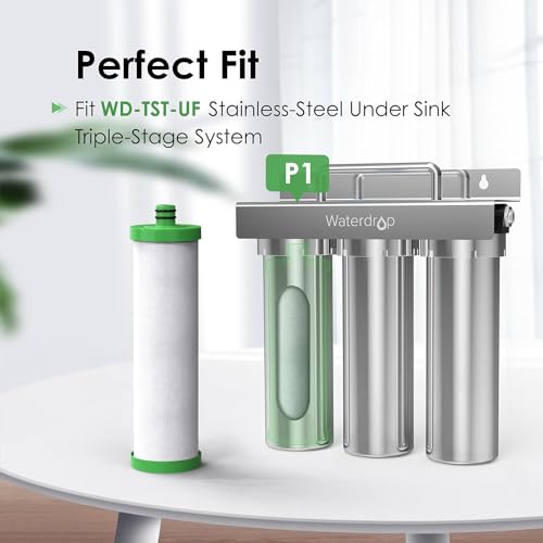 P1 Water Filter Replacement for TST (2 Count)