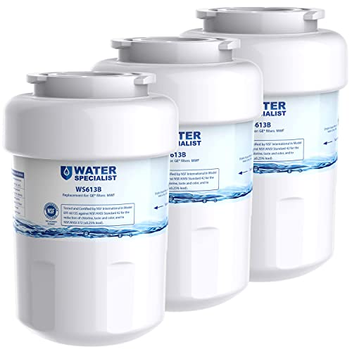 WS613B Water Filter (3 Count)