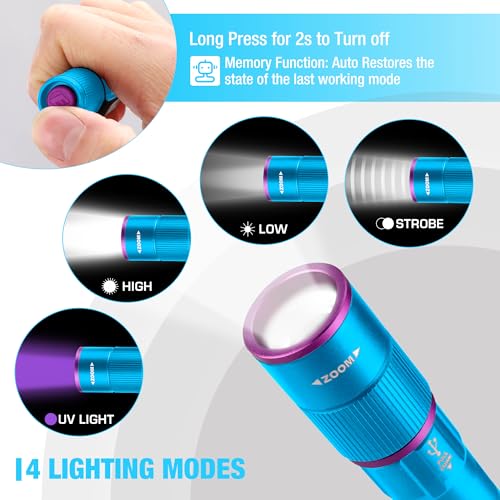Rechargeable Pen Flashlight with UV and White Light