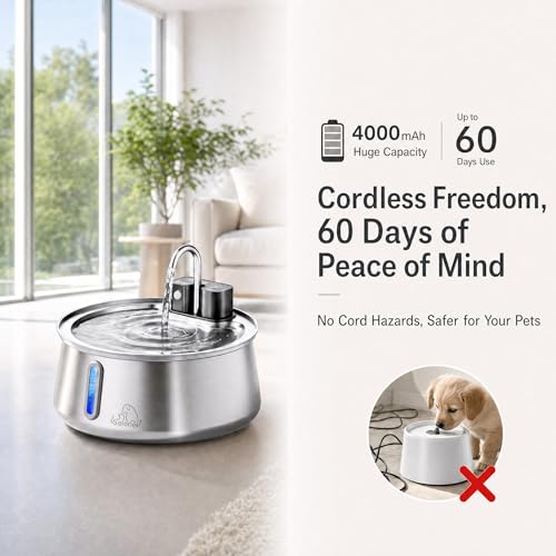 Dog Water Fountain