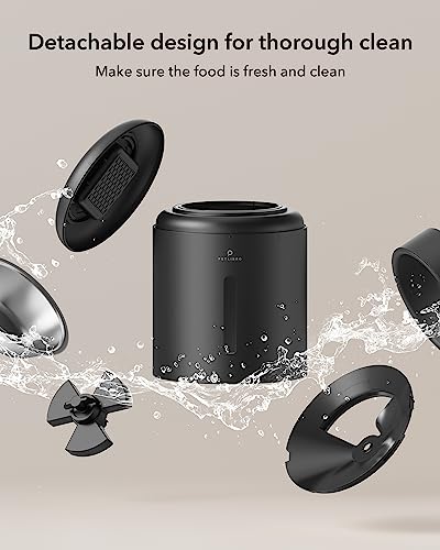 Automatic Cat Feeder
